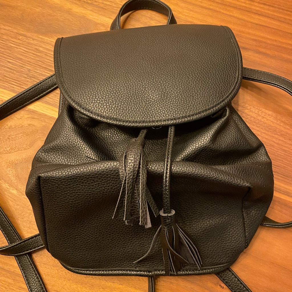 Mini Backpack Nwot